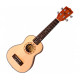 PARKSONS UK21C