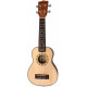 PARKSONS UK21C
