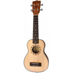 PARKSONS UK21C