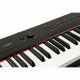 ARTESIA PERFORMER BLACK