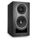KALI AUDIO IN-5