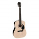 NASHVILLE Акустична гітара NASHVILLE GSD-6034-NT