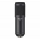 TASCAM TM-70
