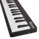 ALESIS QMINI