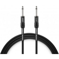 WARM AUDIO Pro-TS-20''