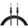 WARM AUDIO Pro-TS-5''
