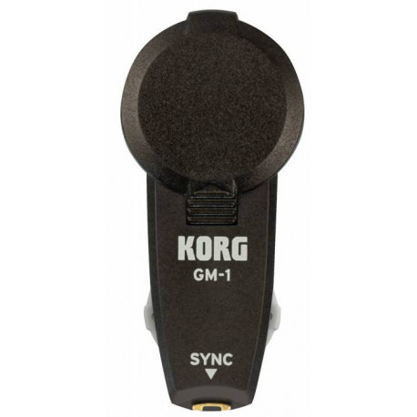 KORG GM-1 2PCS
