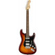 FENDER PLAYER STRATOCASTER HSS PLUS TOP PF TBS