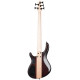 CORT C5 Plus ZBMH (Open Pore Tobacco Burst)
