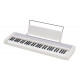 CASIO CT-S1WE