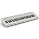 CASIO CT-S1WE