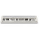 CASIO CT-S1WE