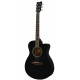 YAMAHA FS100C (Black)