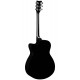 YAMAHA FS100C BLK