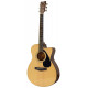 YAMAHA FS100C NT