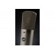 WARM AUDIO WA-87 R2