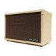 Blackstar Acoustic:Core 30
