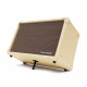 Blackstar Acoustic:Core 30