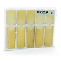  MAXTONE RTC-10 Tenor Saxophone 2.0 - 10 Box