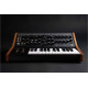 MOOG SUBSEQUENT 25