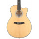 PRS SE A50E (Natural w/ Black Gold Burst)