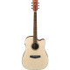 IBANEZ PF10CE OPN
