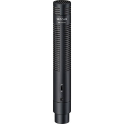 TASCAM TM-200SG