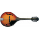 WASHBURN M1S