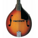 WASHBURN M1S