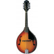 WASHBURN M1S