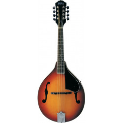WASHBURN M1S