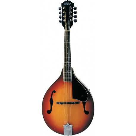WASHBURN M1S