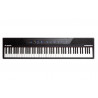 ALESIS CONCERT