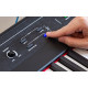 ALESIS CONCERT