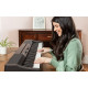 ALESIS PRESTIGE ARTIST