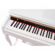 ALFABETO CONCERT (WHITE)