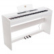 ALFABETO VIVO (WHITE)