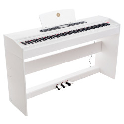 ALFABETO VIVO (WHITE)