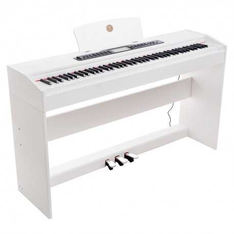 ALFABETO VIVO (WHITE)