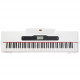 ALFABETO VIVO (WHITE)