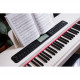 ALFABETO VIVO (WHITE)