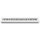 CASIO PX-S1100WE