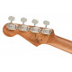 FENDER DHANI HARRISON UKULELE WN TURQUOISE