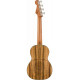 FENDER DHANI HARRISON UKULELE WN TURQUOISE