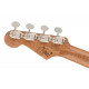FENDER DHANI HARRISON UKULELE WN SAPPHIRE BLUE