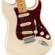 FENDER PLAYER PLUS STRATOCASTER MN OLP