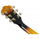 IBANEZ AS93FM-AYS