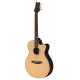 PRS SE A60E