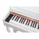 ALFABETO CONCERTINO (WHITE)