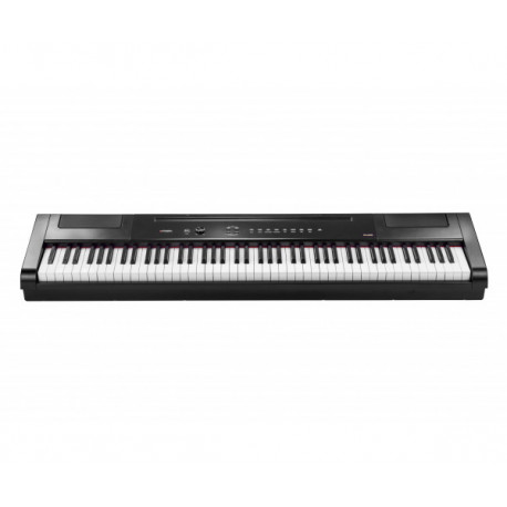 ARTESIA PA88H (BLACK) + педаль сустейн + стойка